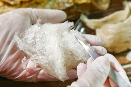 Premium Bird's Nest:  Understanding Nutritional Benefits and Culinary Delights