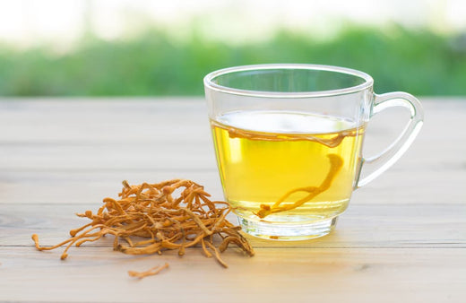 Cordyceps Benefits: Immune Boosting Powerhouse