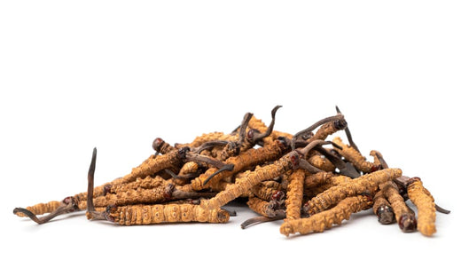 Cordyceps: A Natural Ally for Respiratory Health