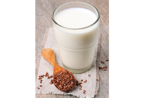 Flax Seed Milk