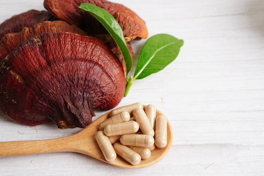 Lingzhi Mushroom: A Treasure Trove of Health Benefits