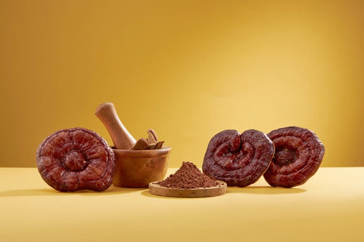 Cooking with Lingzhi Mushrooms