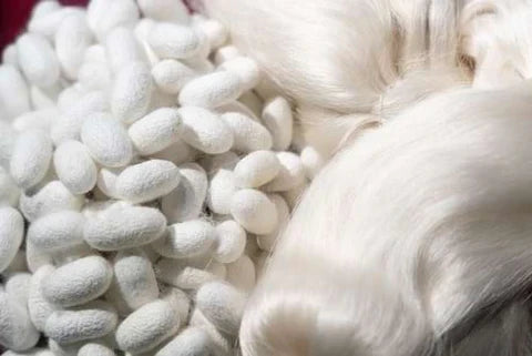 Chinese Silk: A Tale of Tradition and Craftsmanship