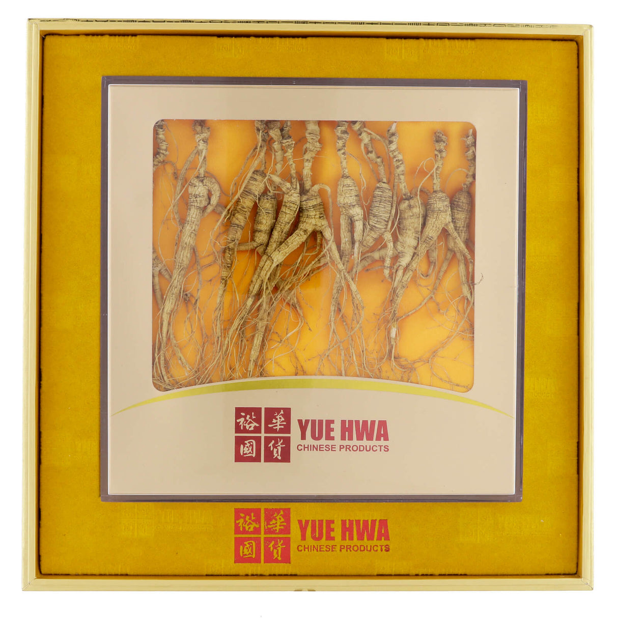 Yue Hwa Ginseng