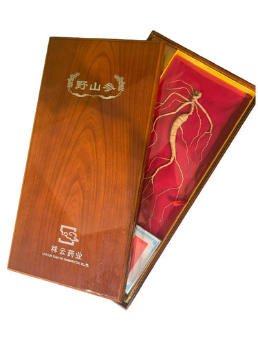 Changbai Mountain Ginseng