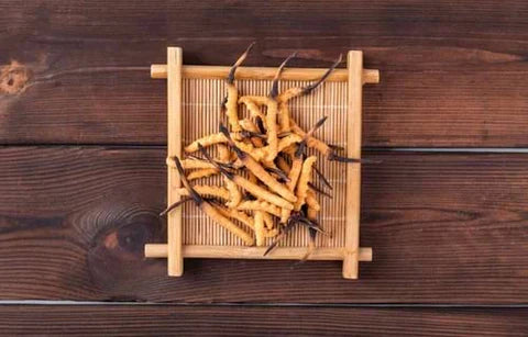Cordyceps through the Ages: From Ancient Chronicles to Modern Medicine