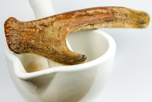 Deer Antler: Nature's Health Booster & Its Benefits