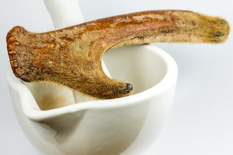 Deer Antler: Nature's Health Booster & Its Benefits