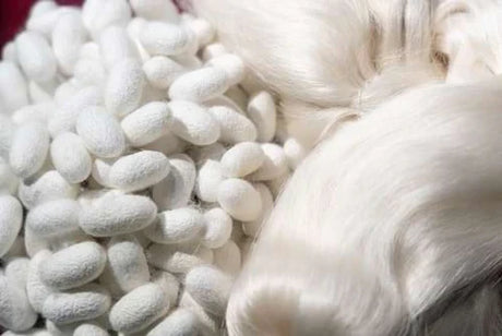 Chinese Silk: A Tale of Tradition and Craftsmanship