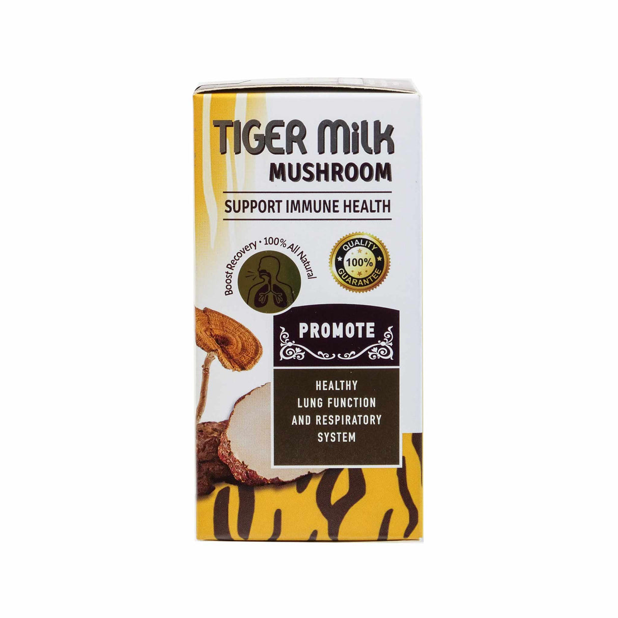 Tiger Milk Mushroom