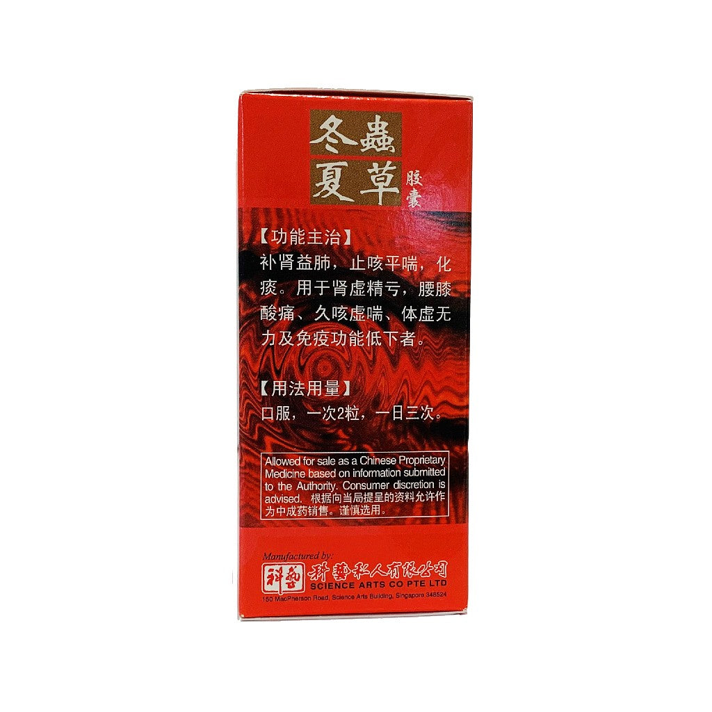 梅花牌冬虫夏草胶囊