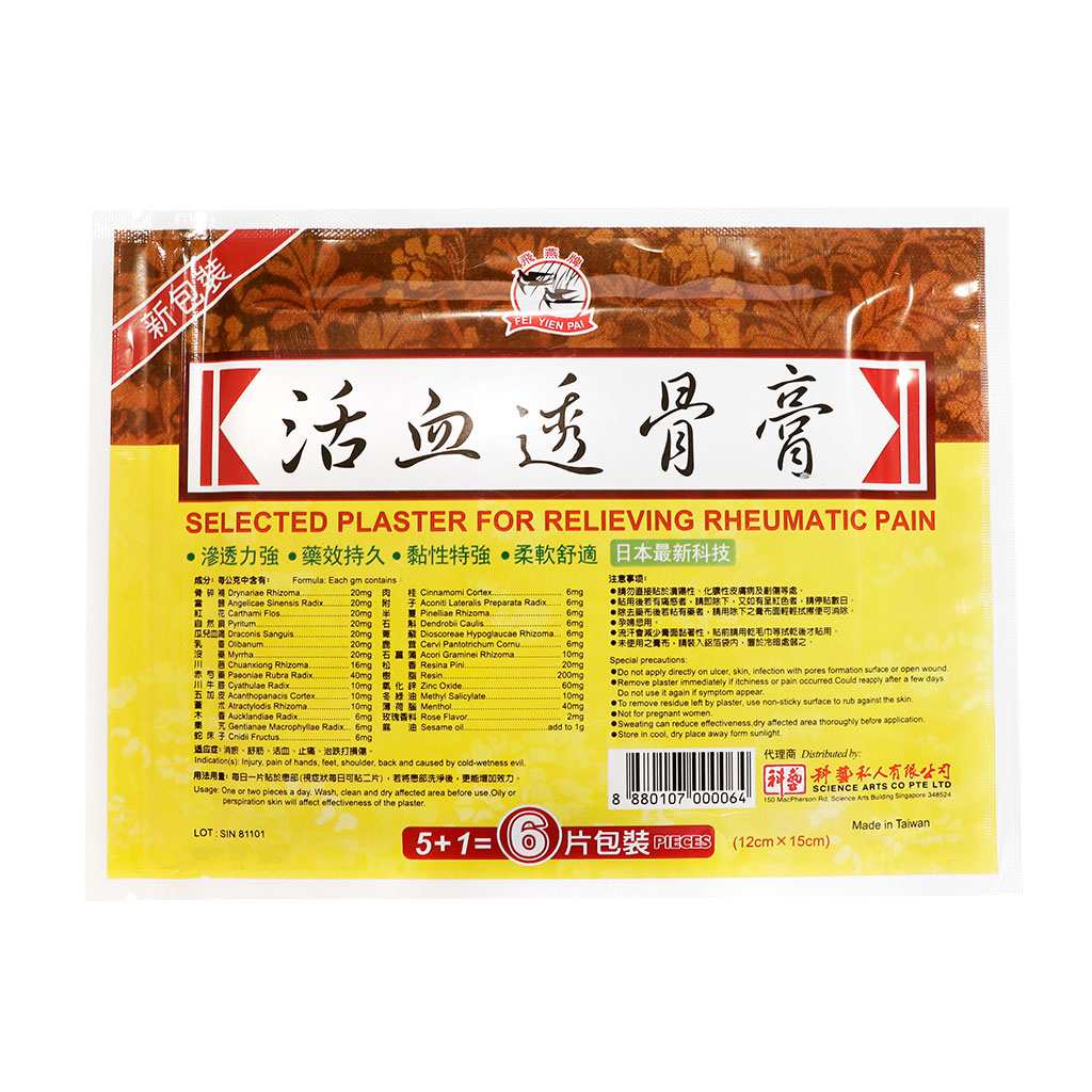 飞燕活血透骨膏