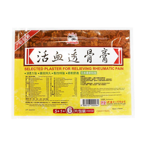 Fei Yien Pai Rheumatism Plaster