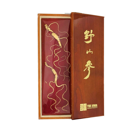 Wild Ginseng