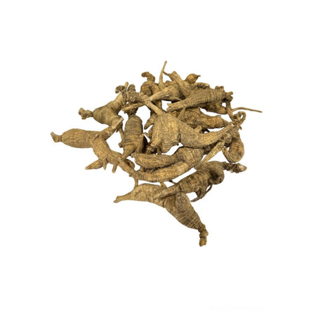 American Wild Ginseng Panax Qinquefolia