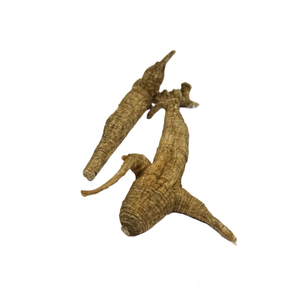 American Ginseng Panax Qinquefolia