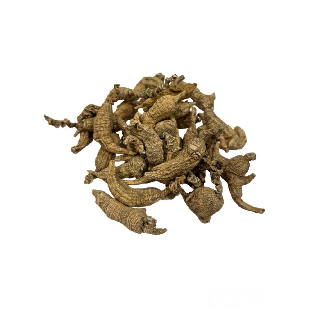 American Ginseng Panax Qinquefolia
