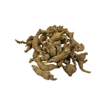 American Ginseng Panax Qinquefolia