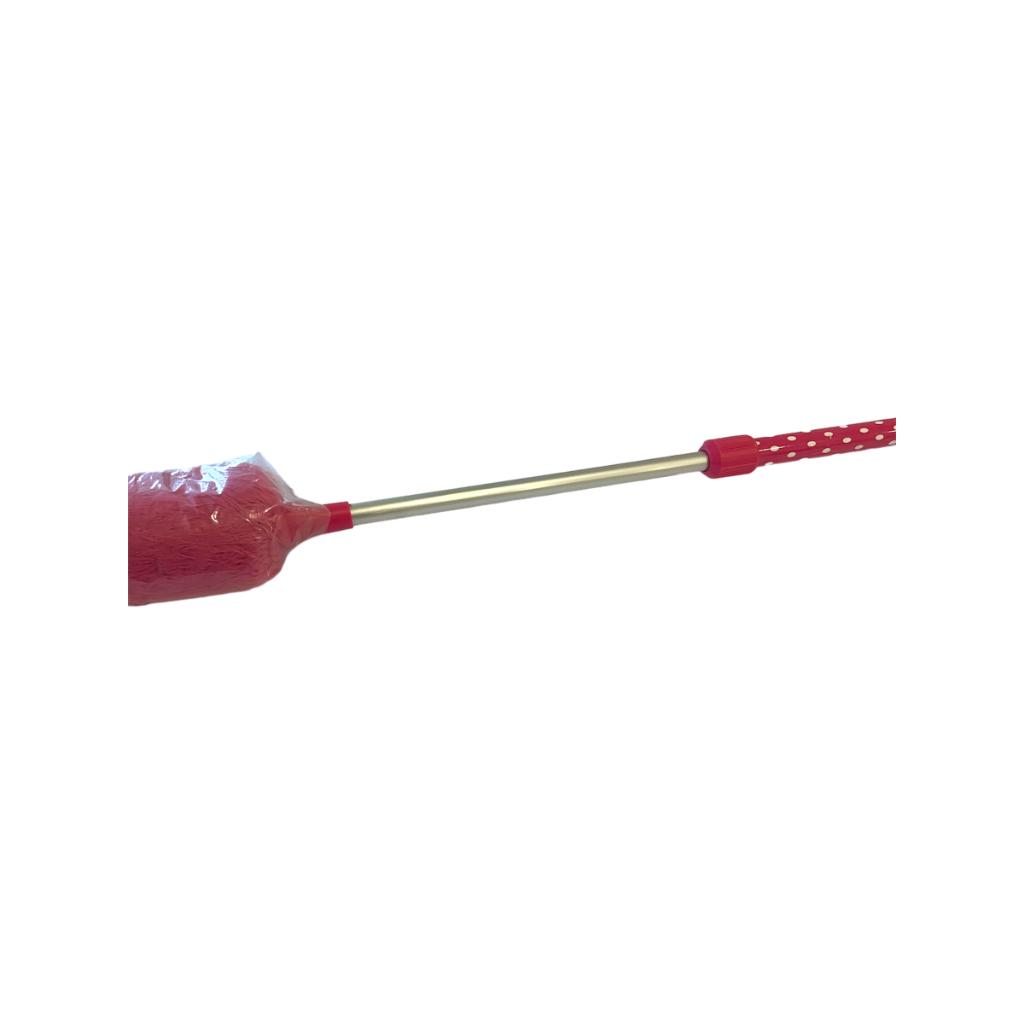 100# Telescopic Dust Removal Sweep
