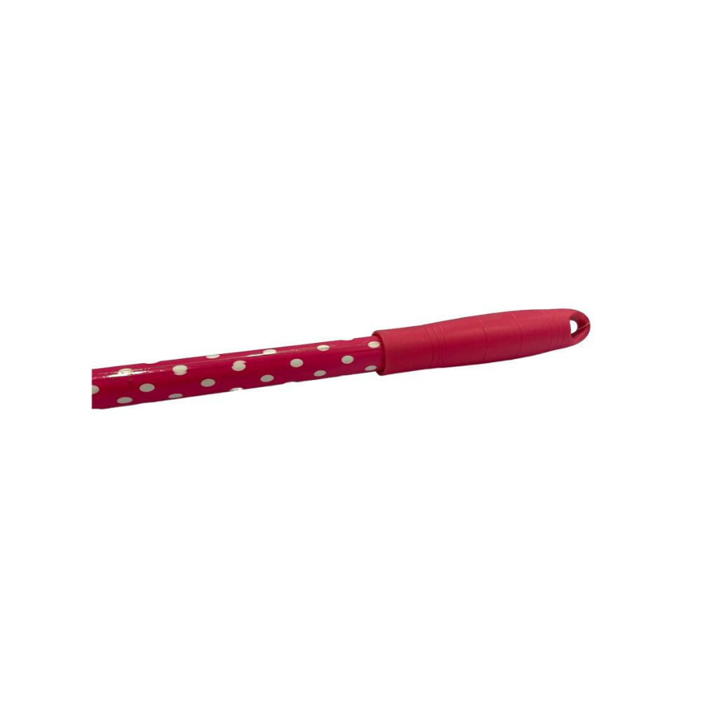 100# Telescopic Dust Removal Sweep